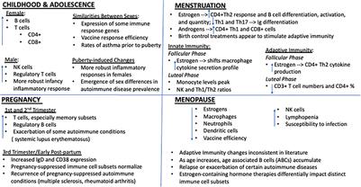 Estrogen, the Peripheral Immune System and Major Depression – A Reproductive Lifespan Perspective